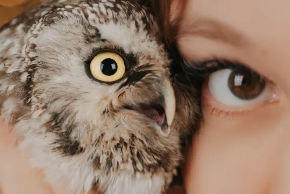 Efbet Casino Atbalsts